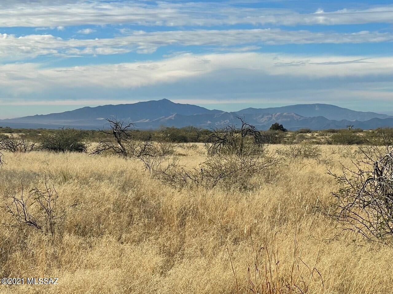 Dragoon Mountain Ranch - Land