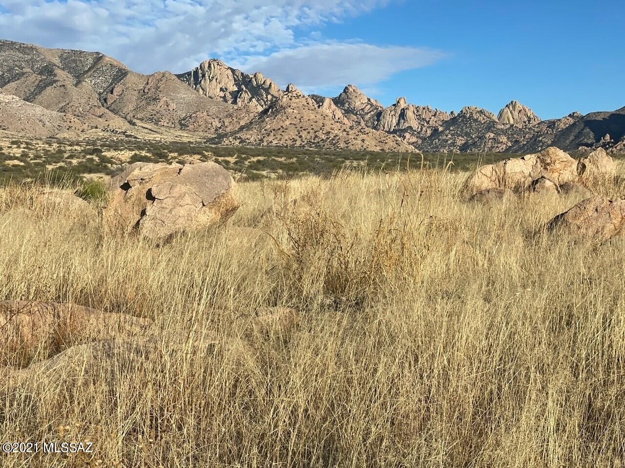 Dragoon Mountain Ranch - Land