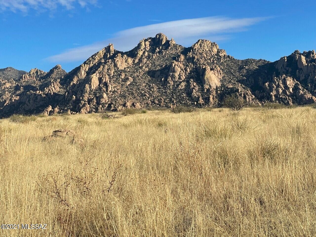 Dragoon Mountain Ranch - Land