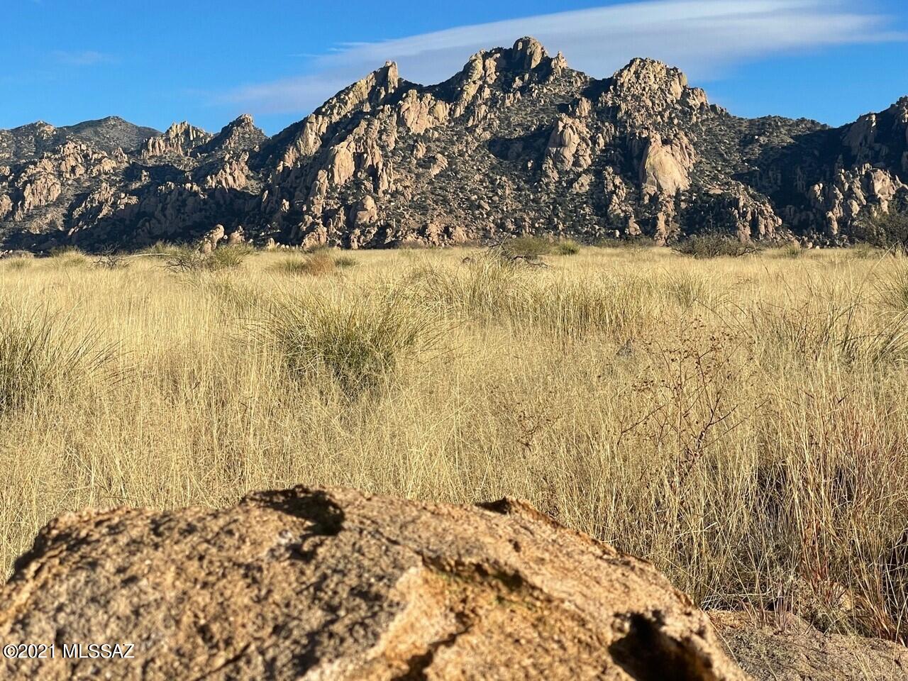 Dragoon Mountain Ranch - Land