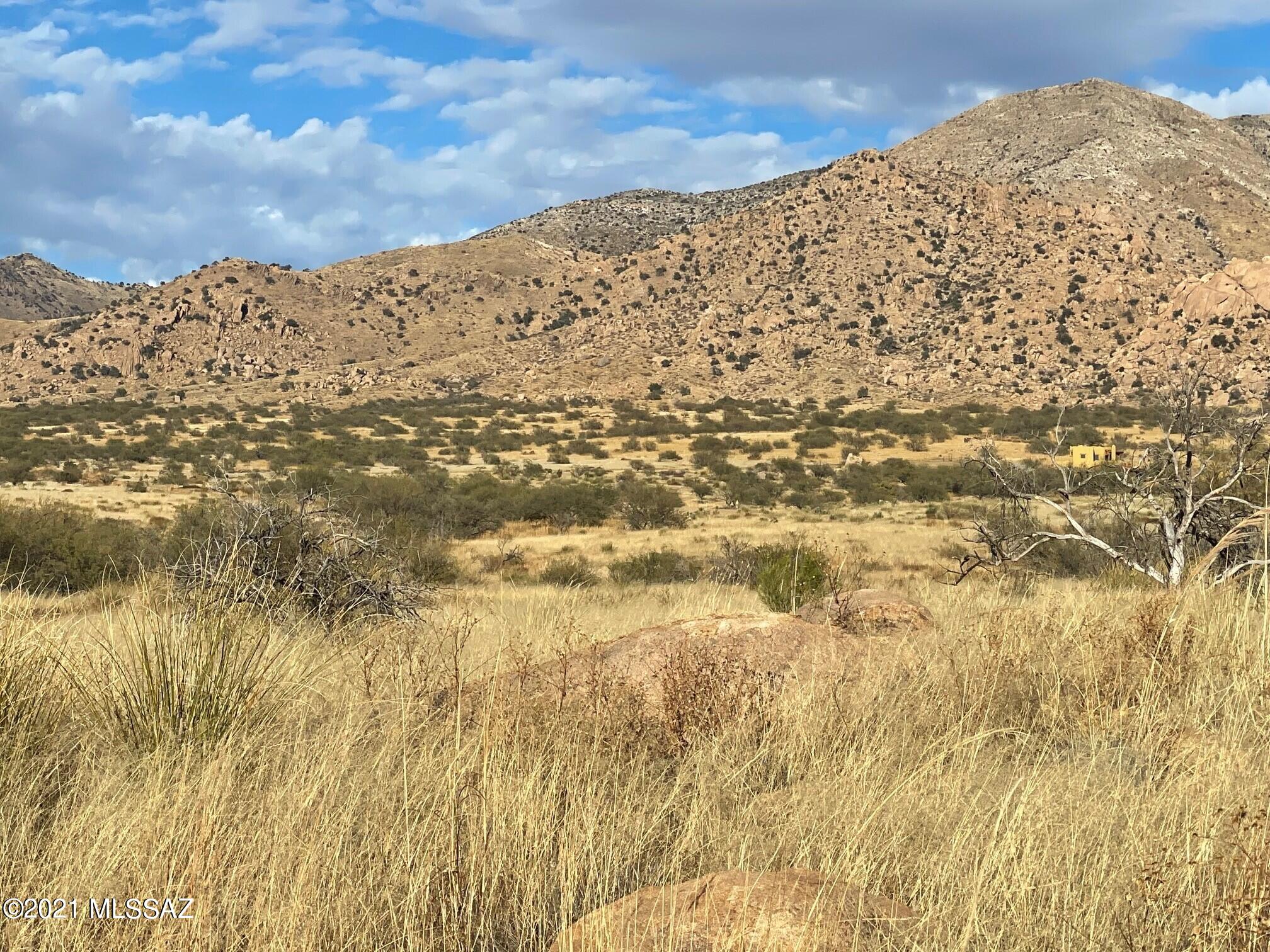 Dragoon Mountain Ranch - Land