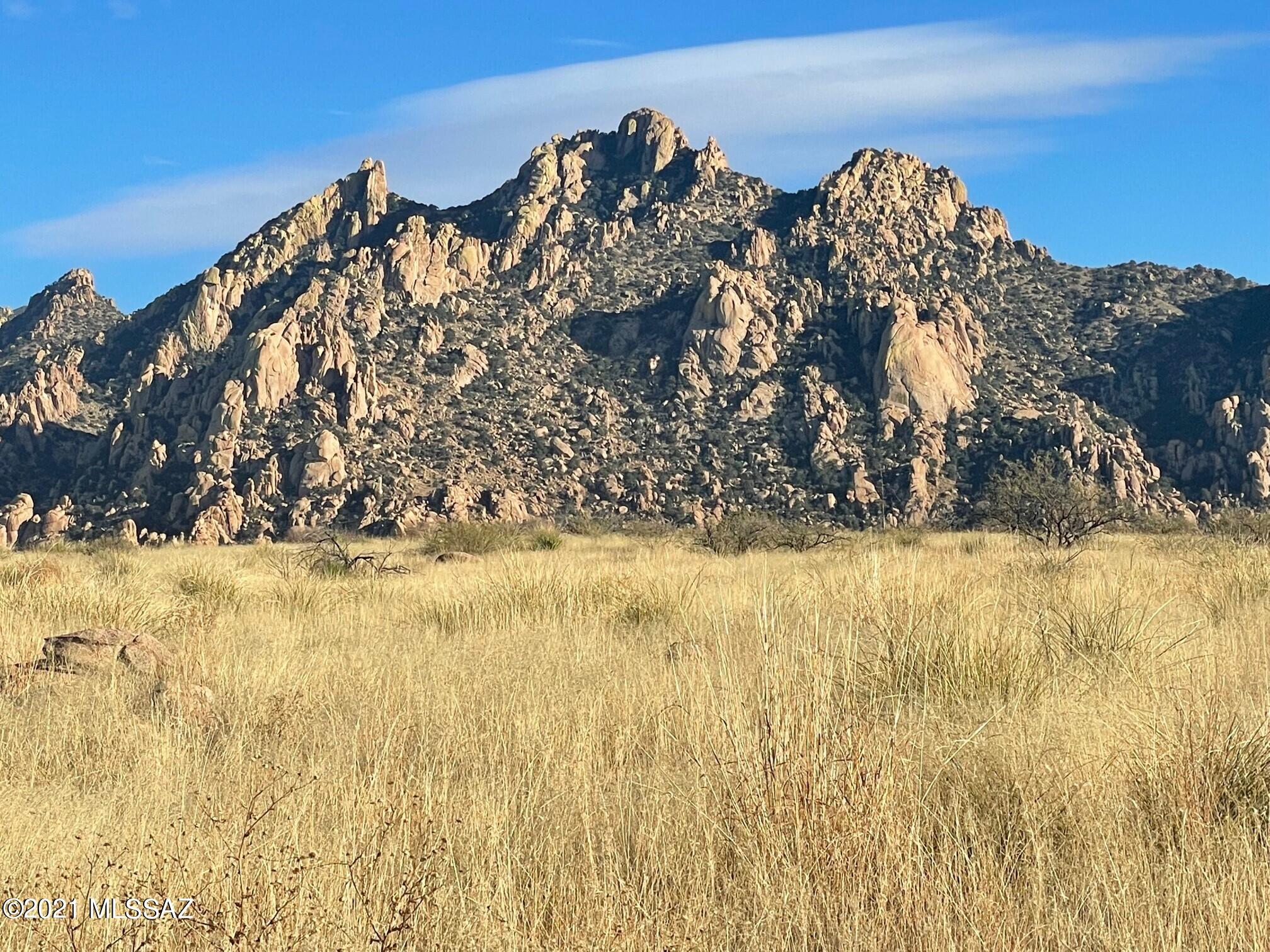 Dragoon Mountain Ranch - Land