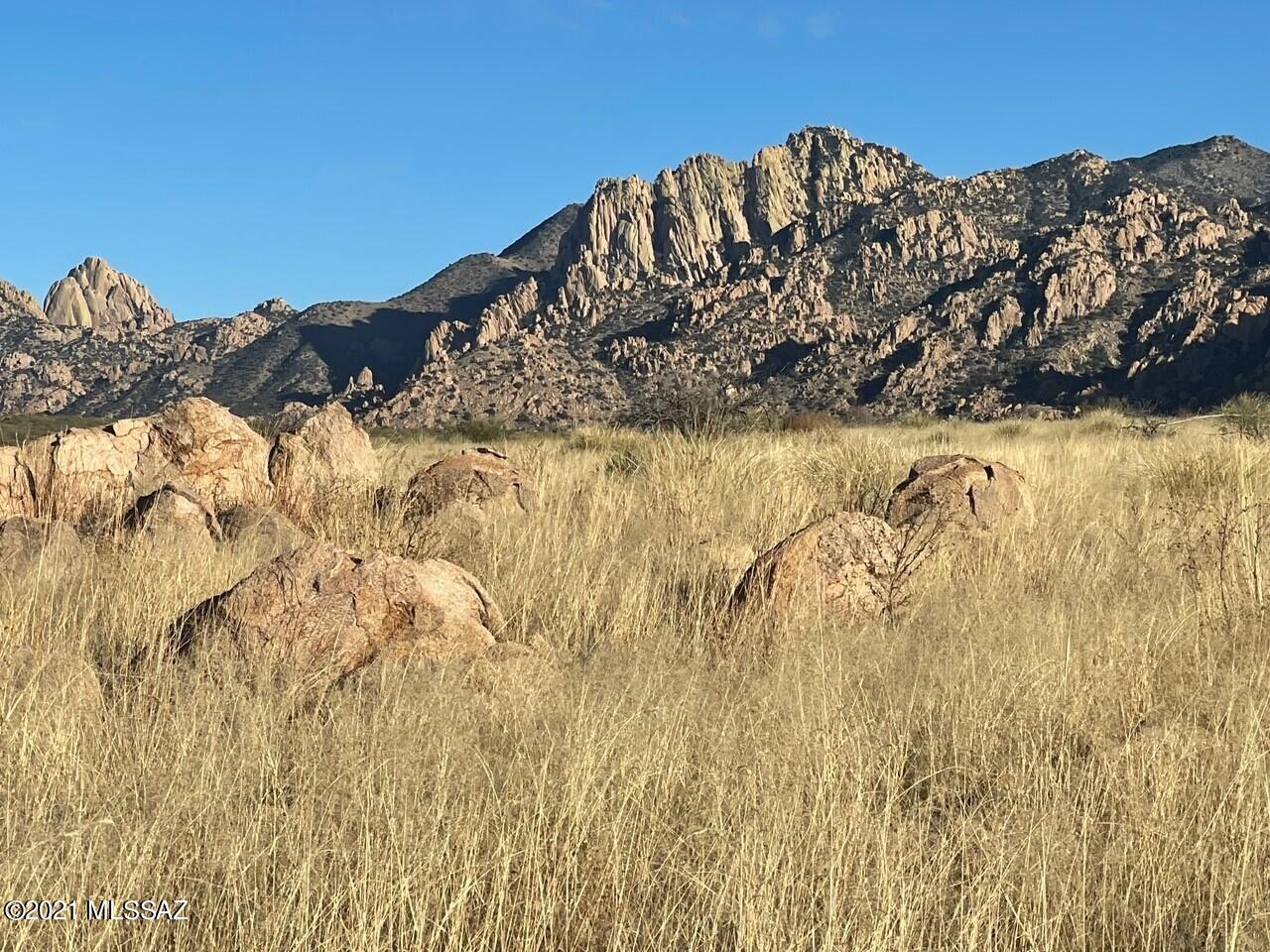 Dragoon Mountain Ranch - Land