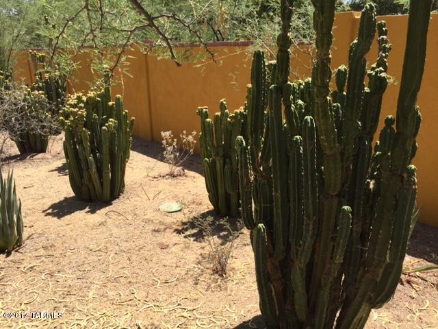 Sabino Vista South (1-79) - Residential