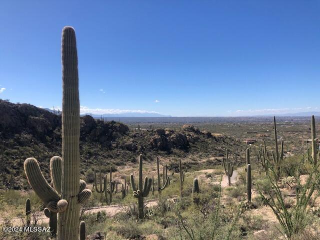 Own your own, 4 parcel, 32 acre PRIVATE CANYON BORDERING the CORONADO NATIONAL FOREST. With SEASONAL WATERFALL, PAVED, GATED ACCESS and UNDERGROUND UTILITIES, there's nothing  comparable in the Tucson market. You'll be amazed at VIEWS over the ENTIRE TUCSON VALLEY yet the total serenity of the lush desert and restored riparian area. See the conceptual plans for both RIDGETOP HOME SITES or easier to develop sites;  all with fabulous views of DISTANT RANGES and VALLEY LIGHTS. wonderful opportunity for a family compound, new custom home neighborhood or a one of a kind , private retreat.. Minimal CCRS.  $850/yr road/gate usage fee.  SELLER WILL FINANCE with 25% down, 5 year balloon, interest rate TBD. Call for gate code or LA to meet on-site.