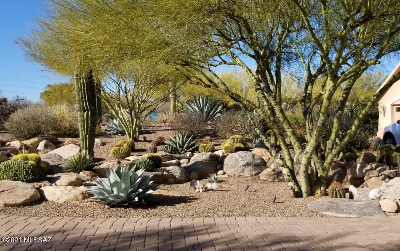 Tangerine Hills - Residential