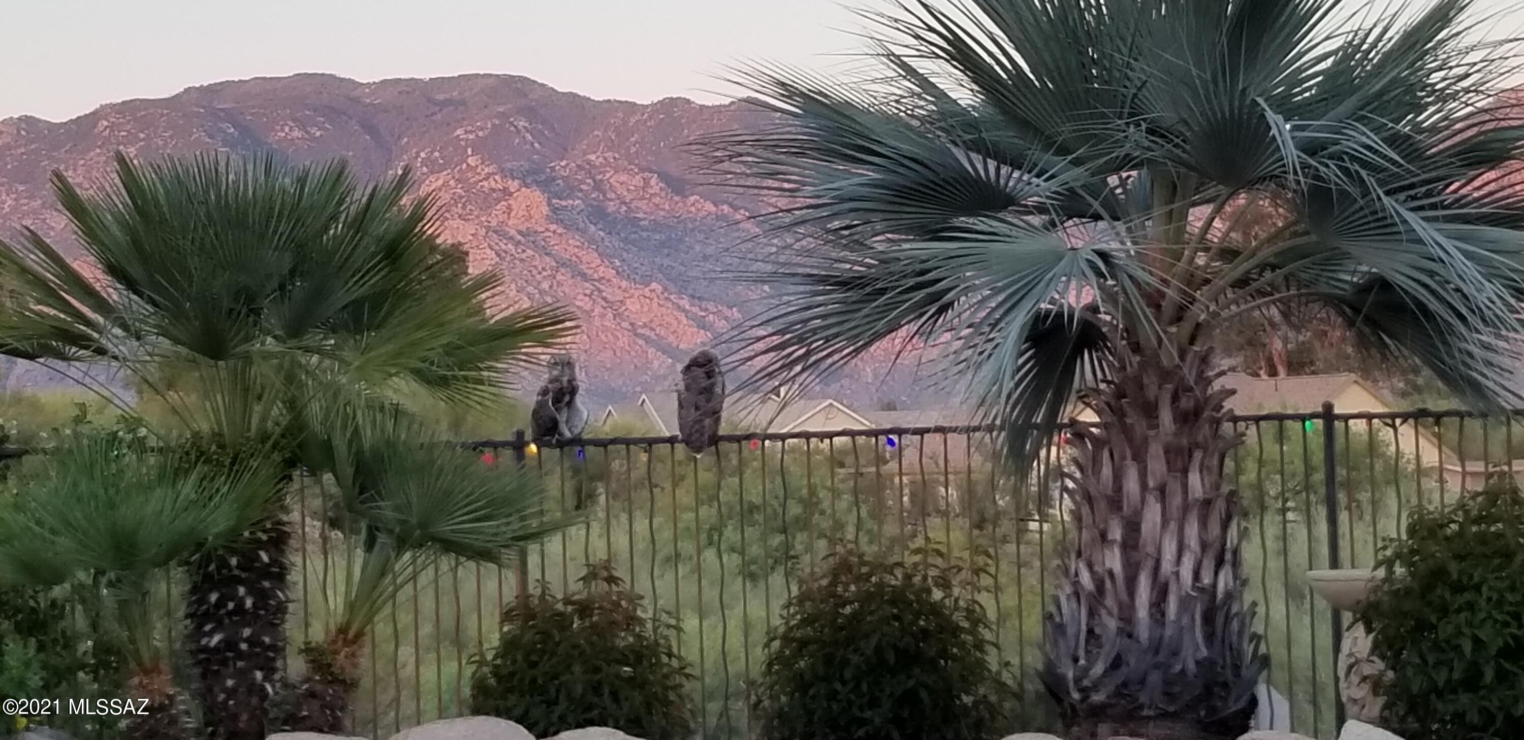 Tangerine Hills - Residential