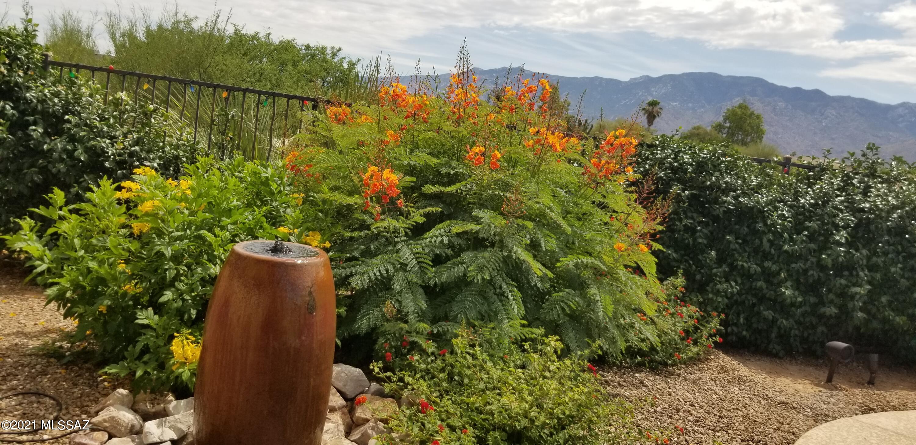 Tangerine Hills - Residential