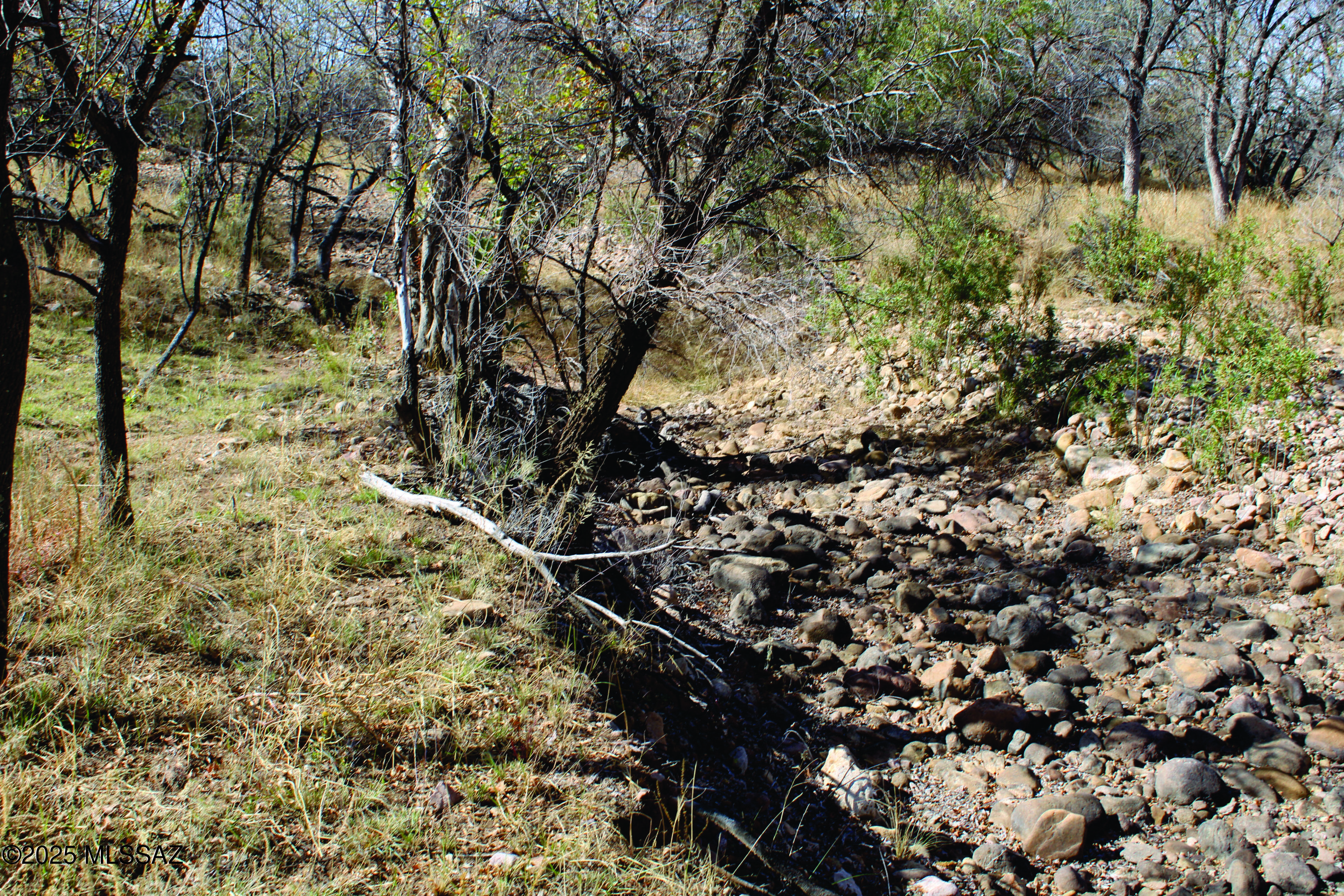 Here are 10 ACRES on beautiful Turkey Creek. These properties don't come along very often. This property which backs up to seasonal Turkey Creek is perfect to build your relaxing getaway. There are two 10 acre parcels available. You can have one or both. With incredible views of the Chiricahua Mountains. A short drive to hike the Chiricahua Monument, Fort Bowie, Historic Tombstone and Bisbee. A 3 mile drive to legendary Tombstone Villain Johnny Ringo's grave. Here is you chance to own land in the Old West. Seller will finance with $9900 Down plus closing costs and Pioneer Title Account setup fee, at 9.9 percent interest for 10 years, with a monthly payment of $526.39 plus Pioneer Title processing fee and impounded property tax. No Prepayment Penalty
