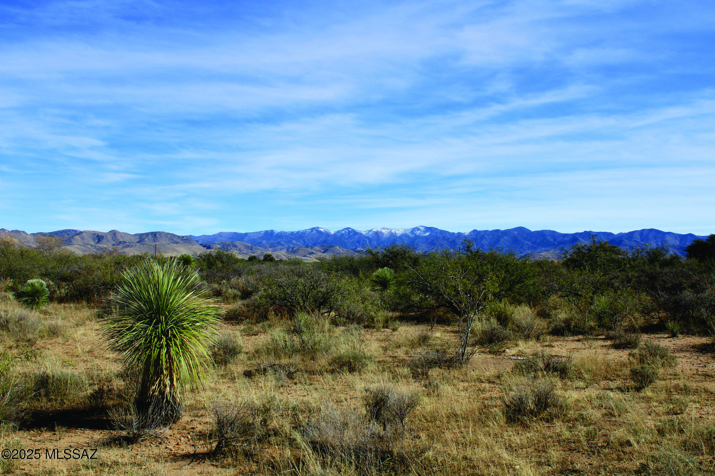 Turkey Creek Ranch - Land
