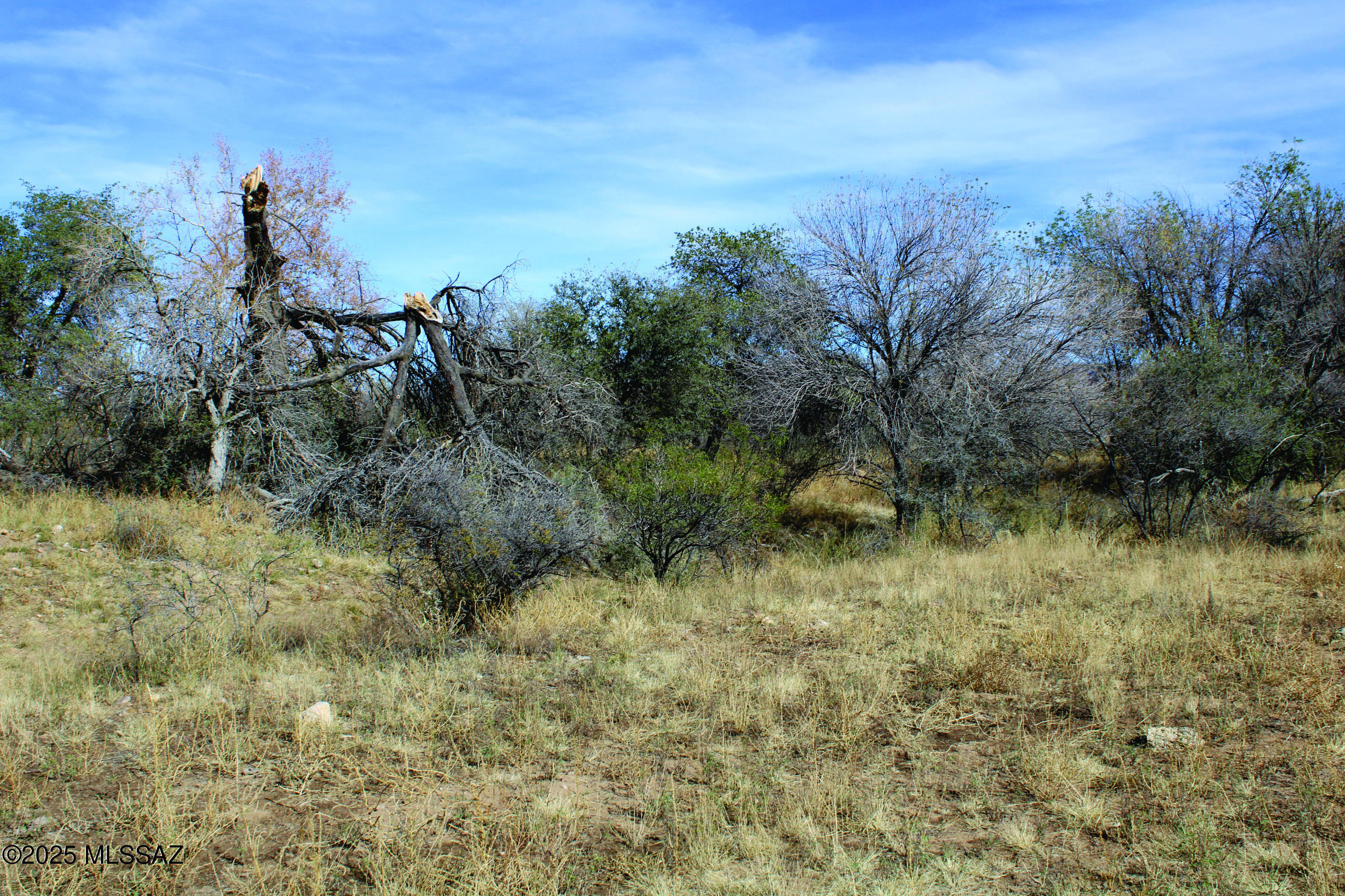 Turkey Creek Ranch - Land