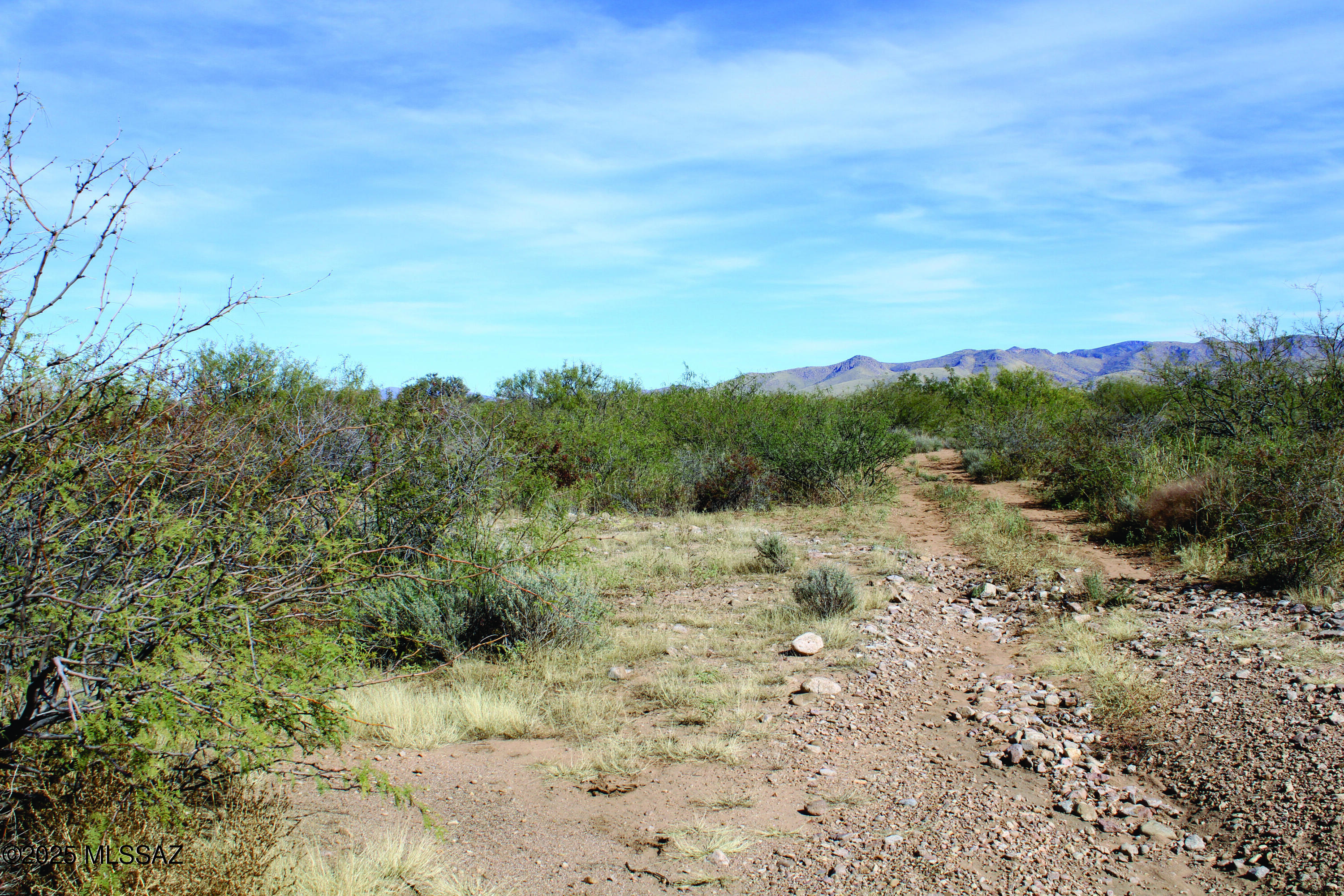 Turkey Creek Ranch - Land
