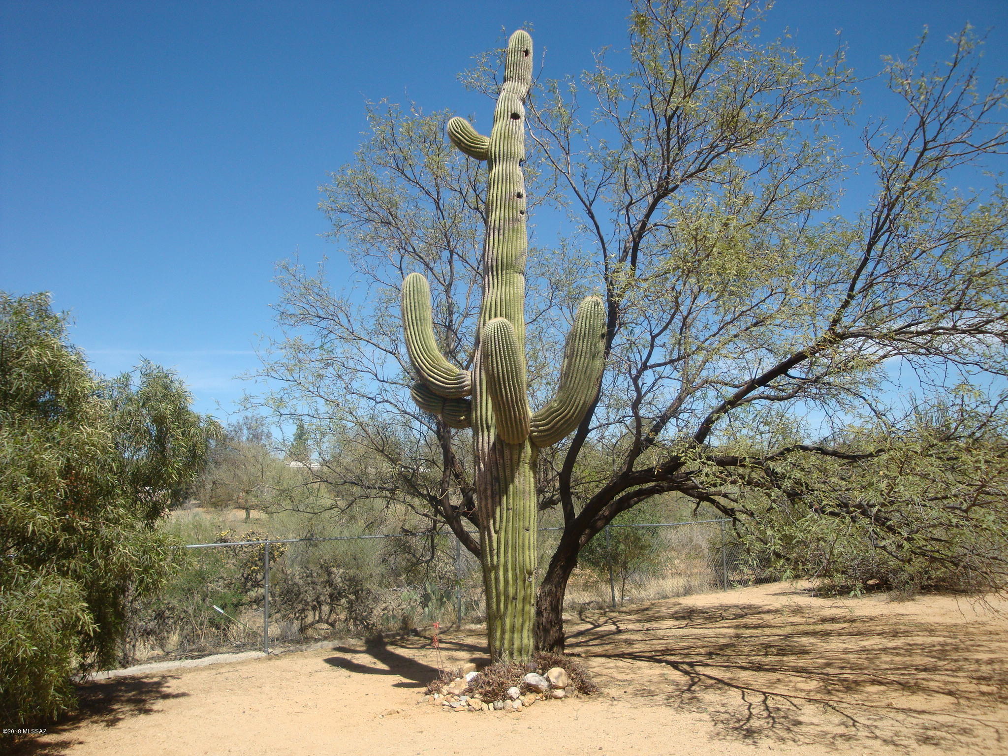 Diamond Bell Ranch - Tucson Unit 9 (Lots 58-375) - Residential