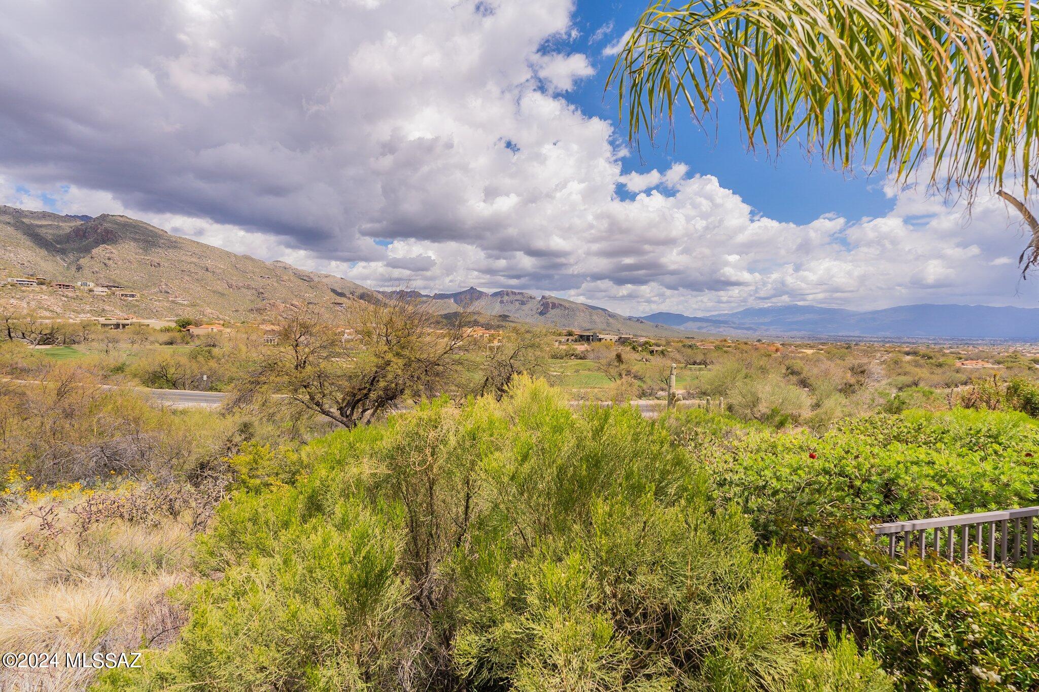 The Ridge At Ventana Canyon (1-63) - Residential