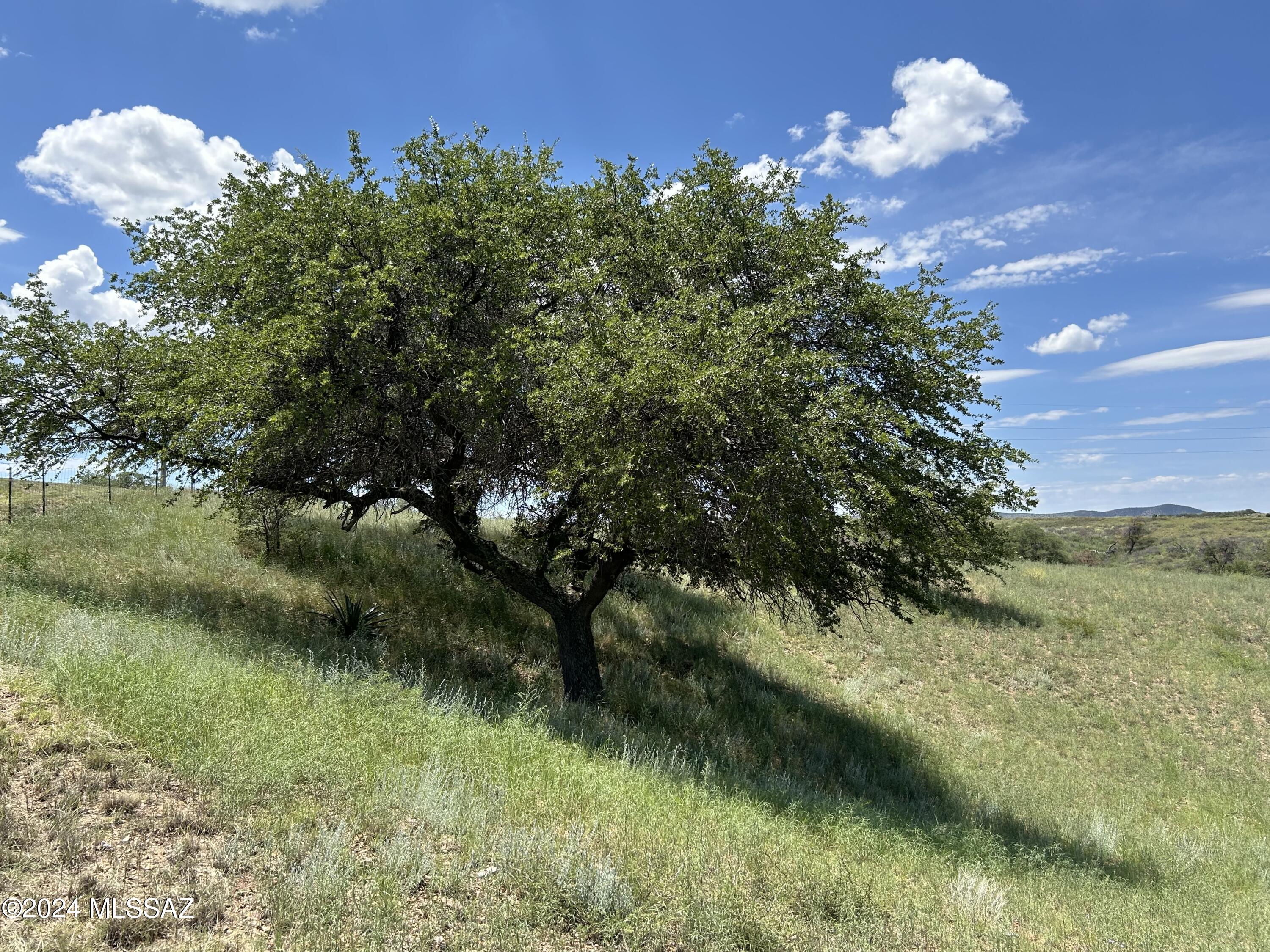 Sonoita Estates (1-18) - Residential