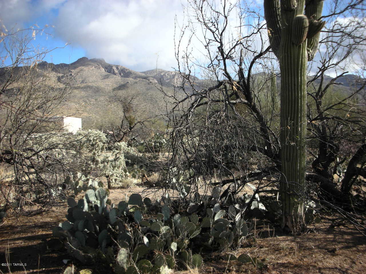 Snyder Creek Canyon (1-29) - Land