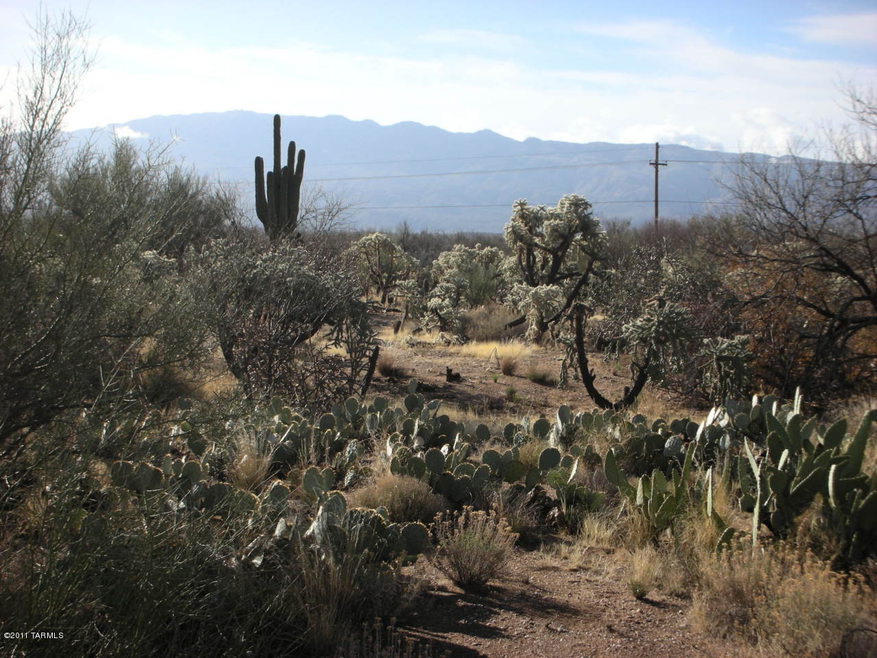 Snyder Creek Canyon (1-29) - Land