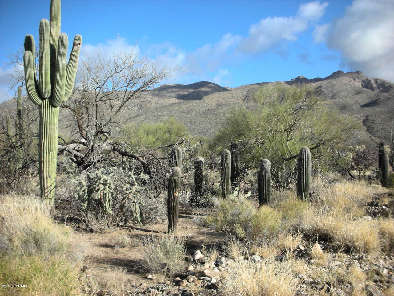 Snyder Creek Canyon (1-29) - Land