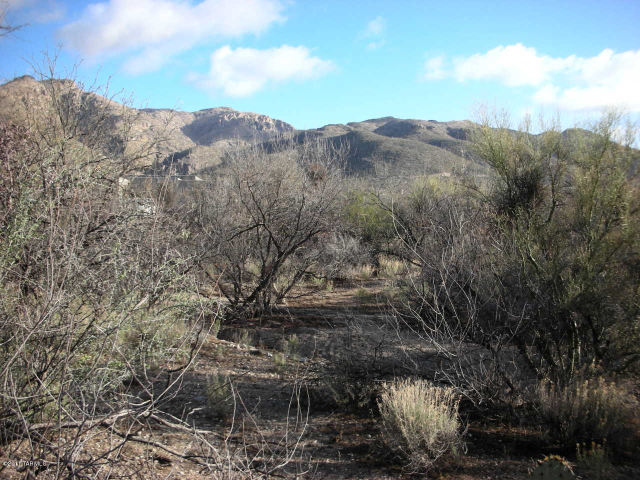 Snyder Creek Canyon (1-29) - Land