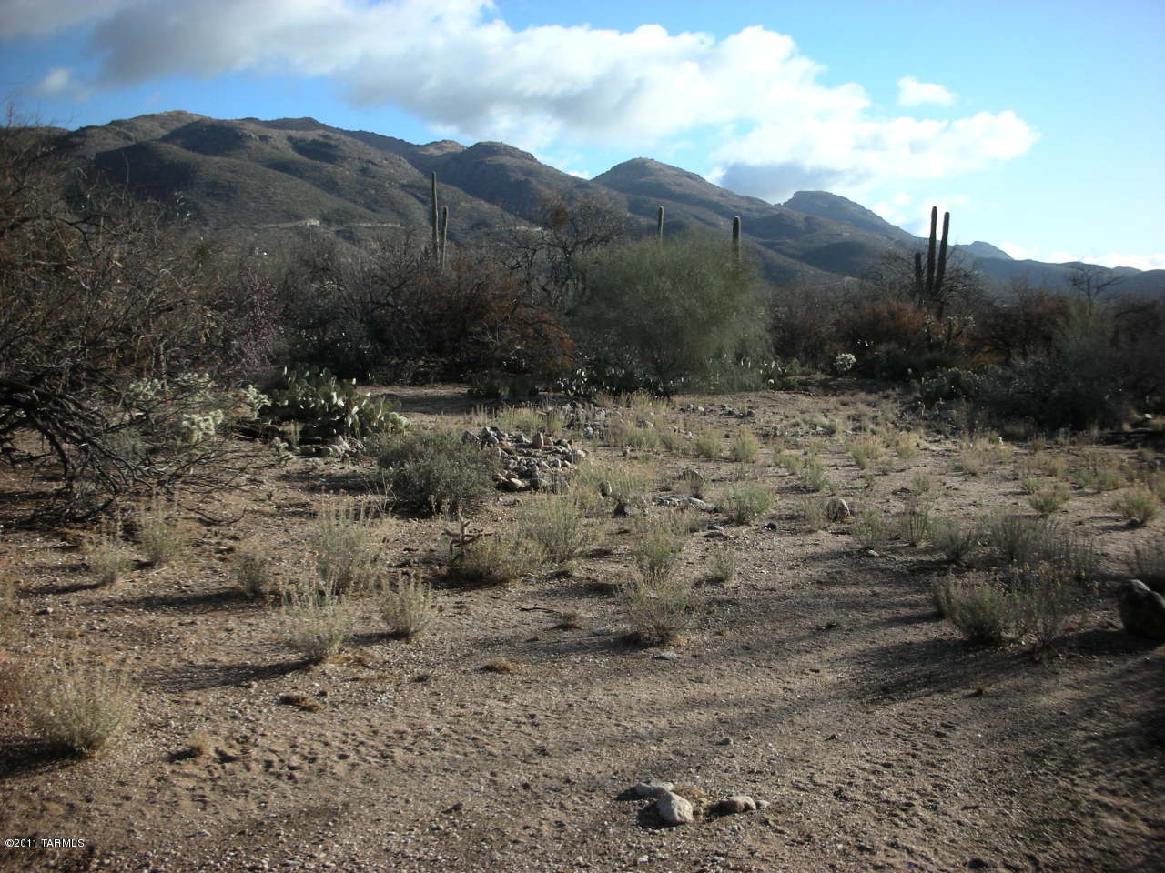 Snyder Creek Canyon (1-29) - Land