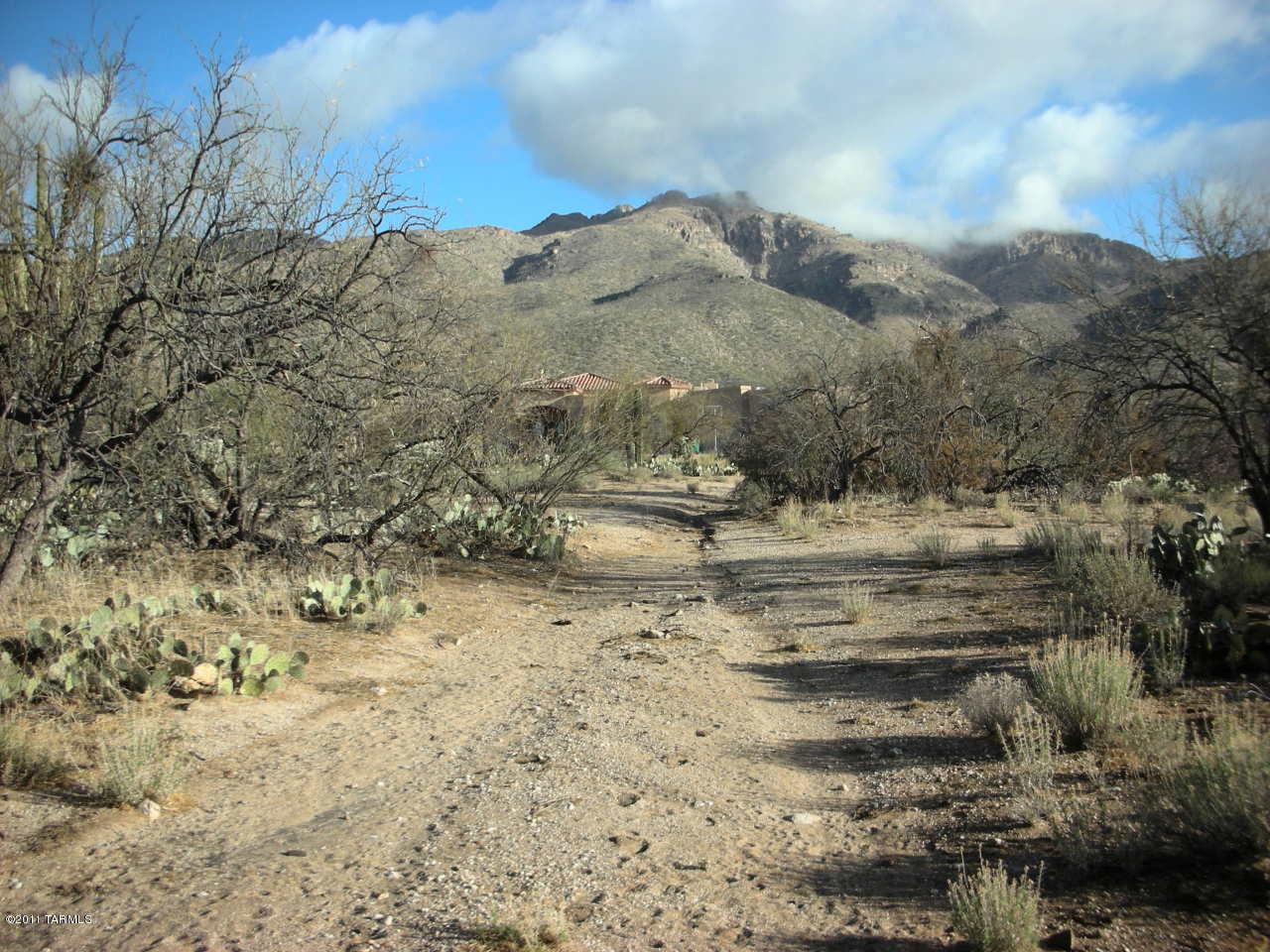 Snyder Creek Canyon (1-29) - Land