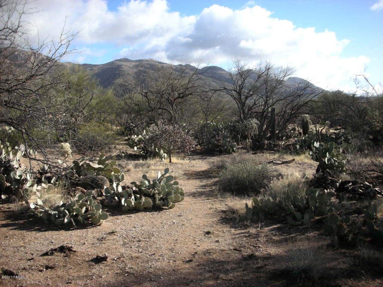 Snyder Creek Canyon (1-29) - Land