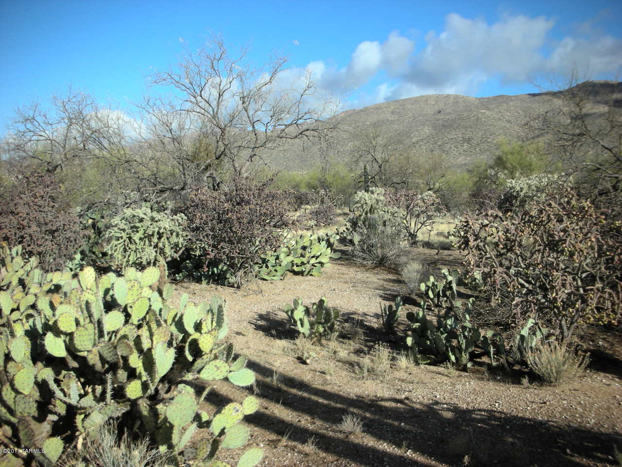 Snyder Creek Canyon (1-29) - Land