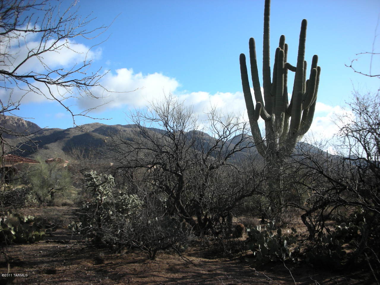 BEAUTIFUL MTN VIEWS, LUSH VEGETATION & EZ BUILD on this GATED, 3.3 AC in the Tanque Verde Valley near the base of Mt. Lemmon. Hi-End CUSTOMS surround the last lot available on the cul-de-sac. All utilities (septic req'd), award winning TANQUE VERDE SCHOOLS and minutes to schools, golf, shopping and the unlimited RECREATIONAL ACTIVITIES of the CORONADO NAT'L FOREST.