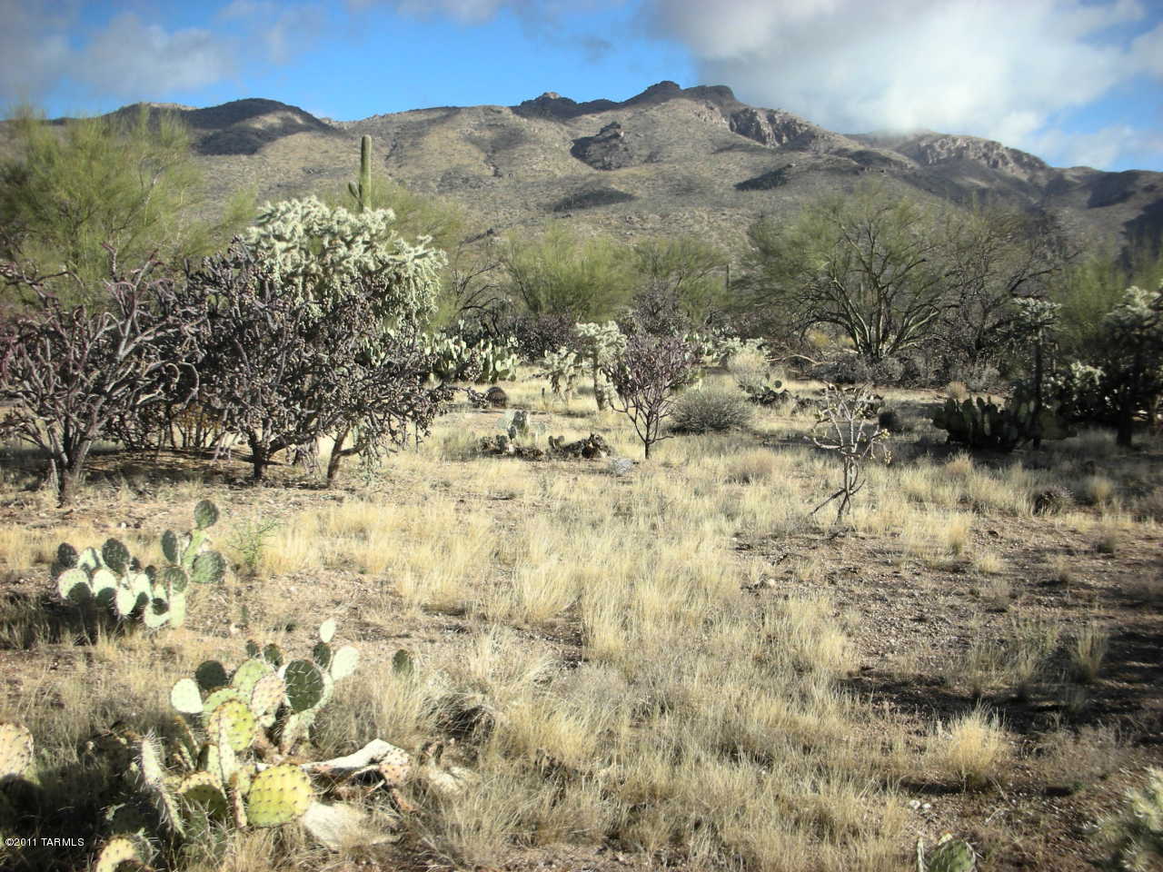 Snyder Creek Canyon (1-29) - Land