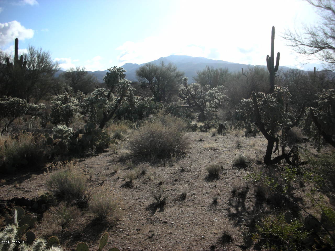 Snyder Creek Canyon (1-29) - Land