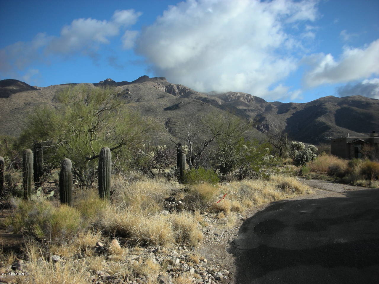 Snyder Creek Canyon (1-29) - Land