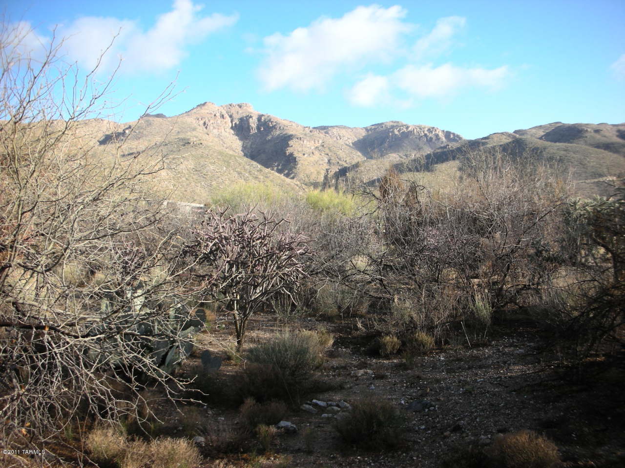 Snyder Creek Canyon (1-29) - Land