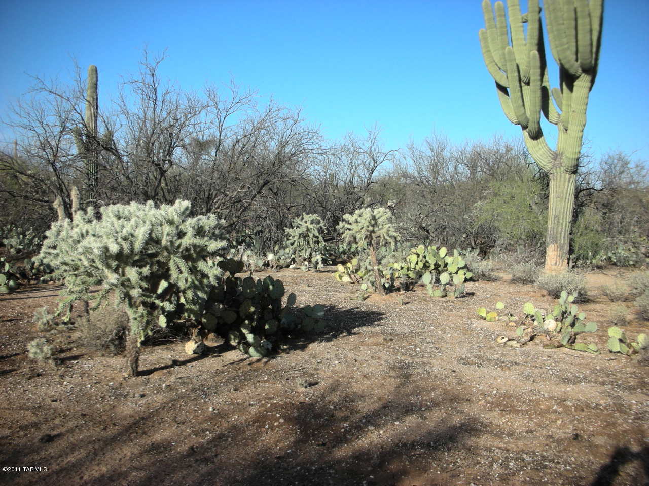 Snyder Creek Canyon (1-29) - Land