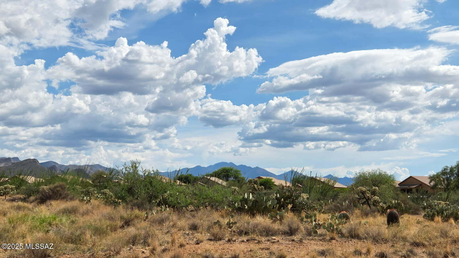 New Tucson Unit NO. 8 (1-455) - Residential