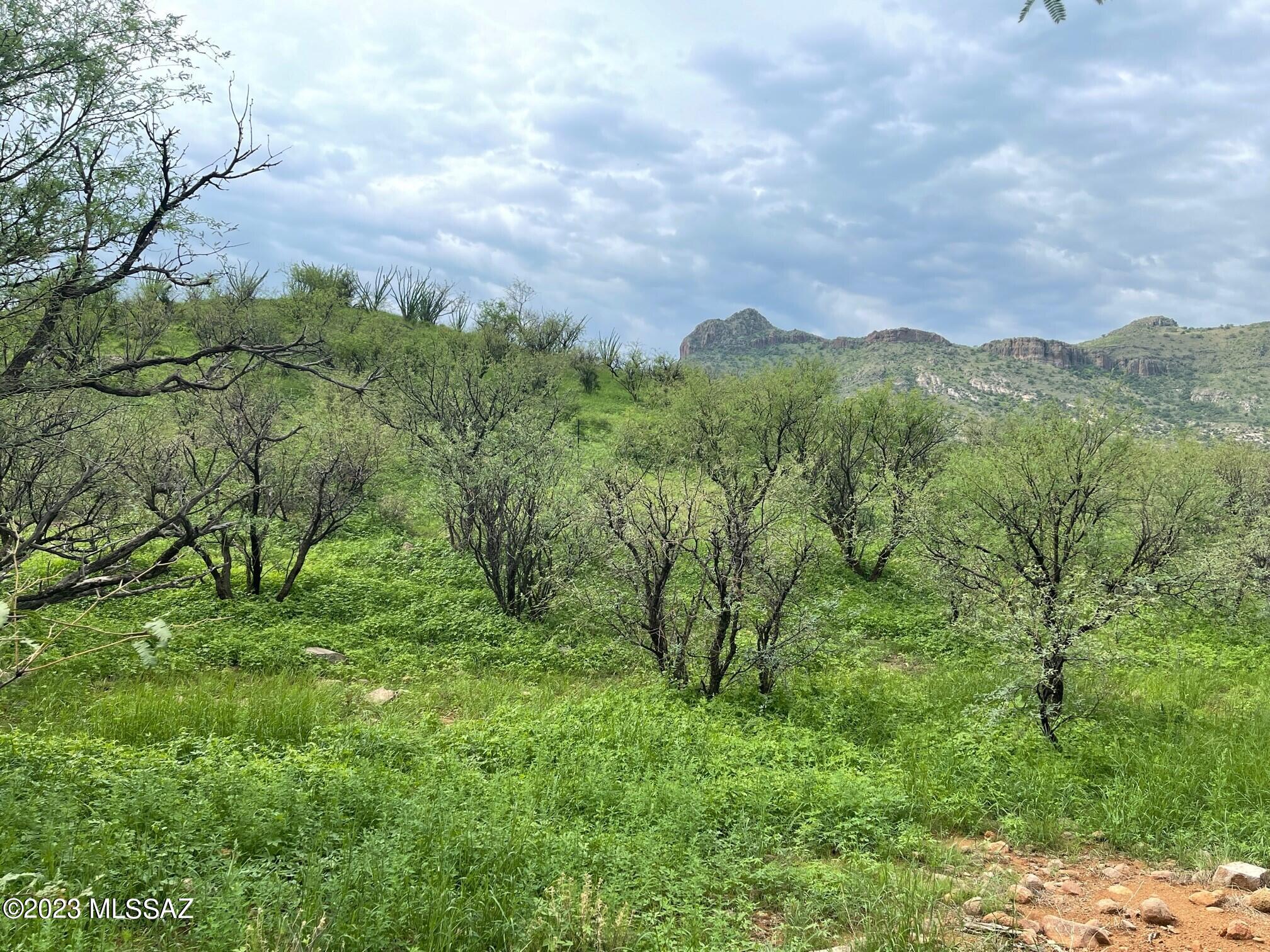 Salero Ranch - Land