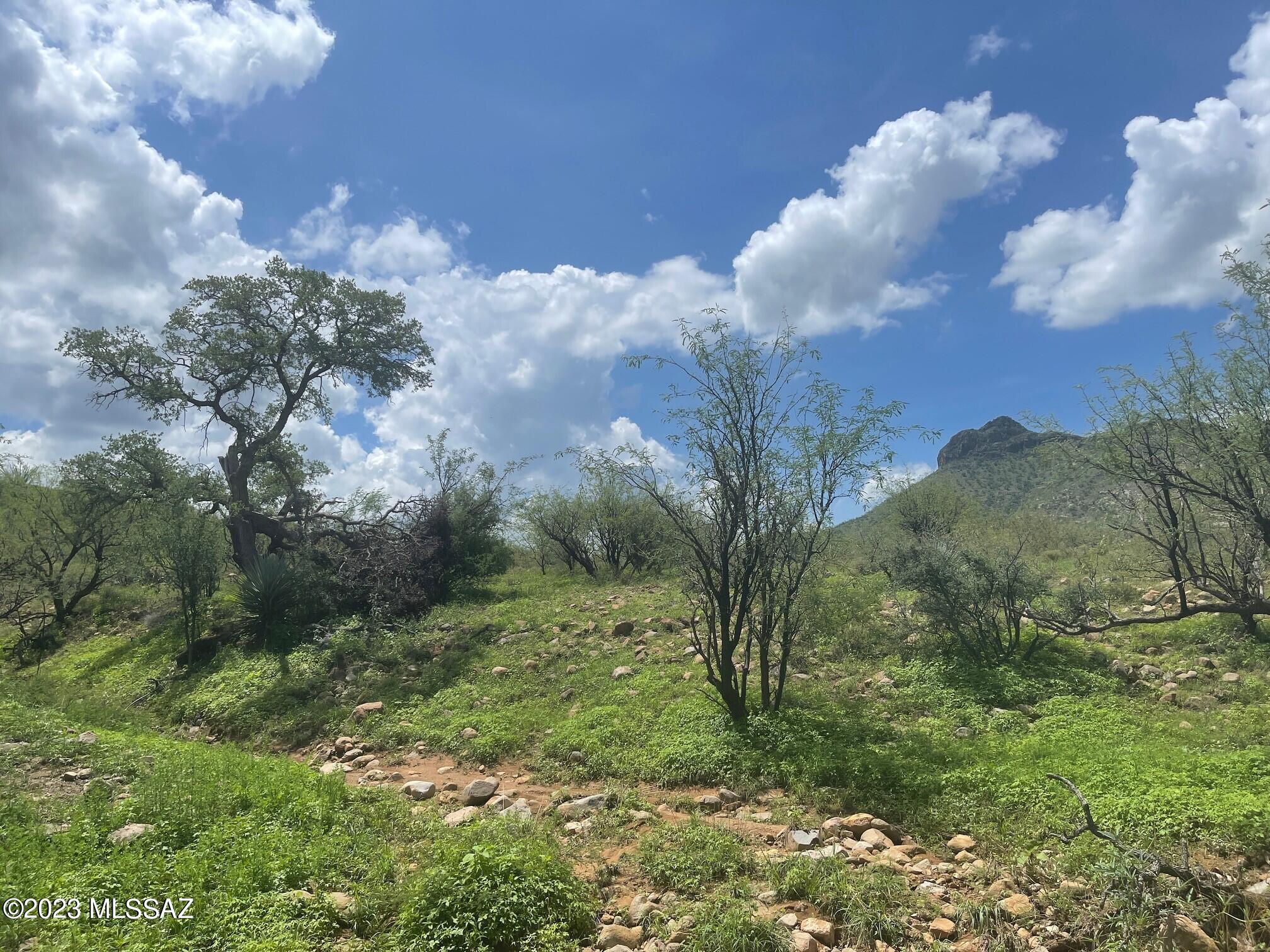 Salero Ranch - Land