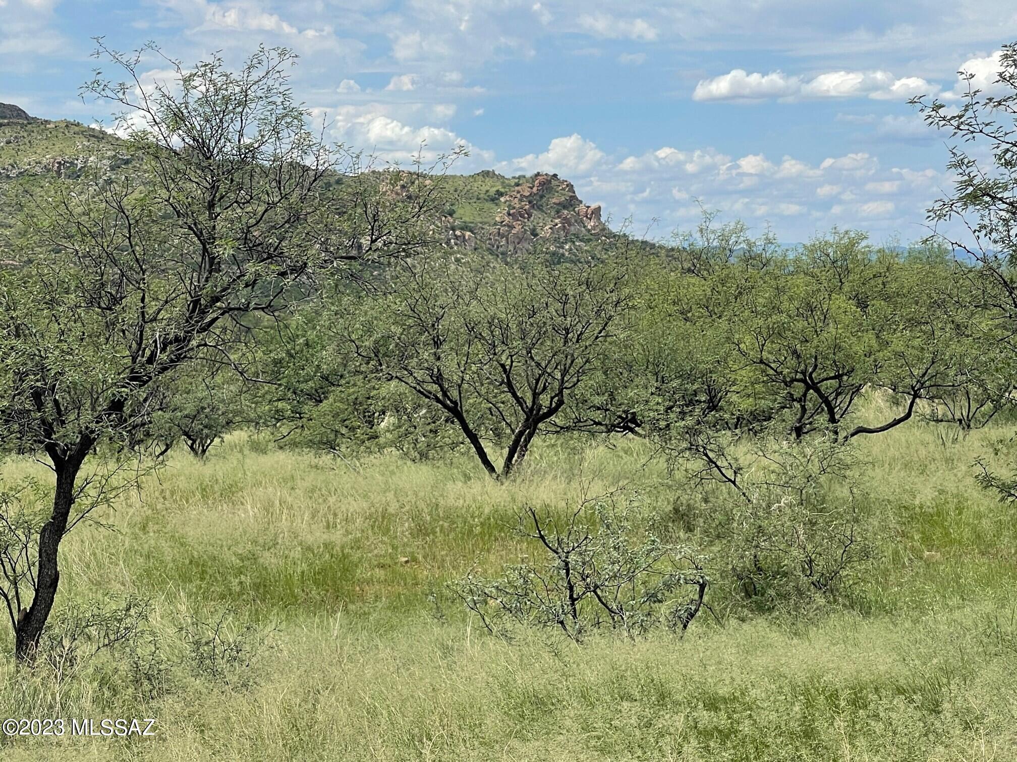 Salero Ranch - Land
