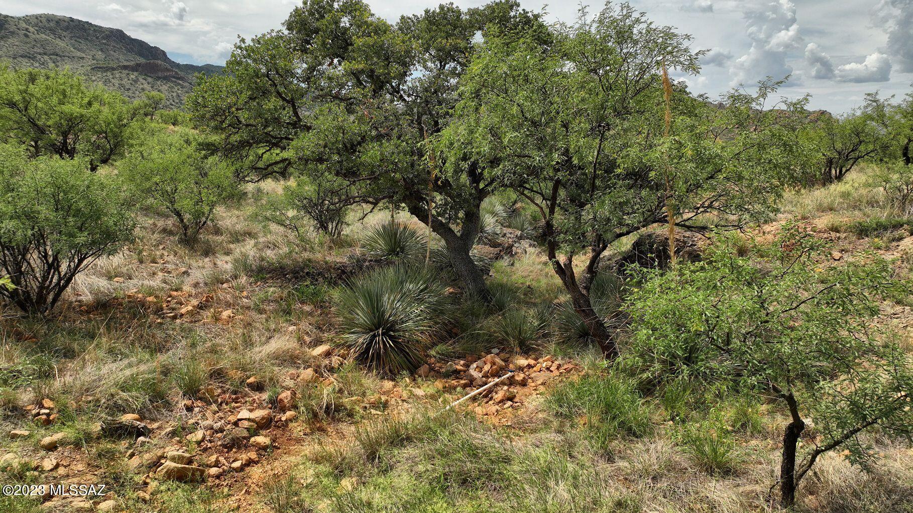 Salero Ranch - Land