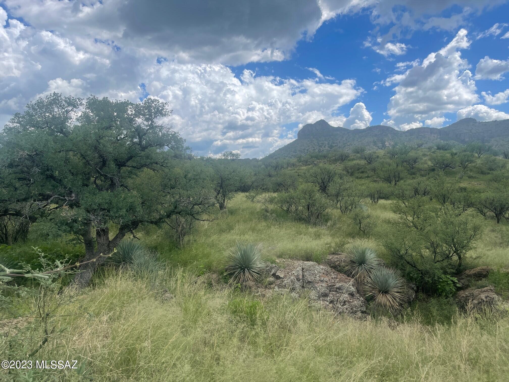 Salero Ranch - Land