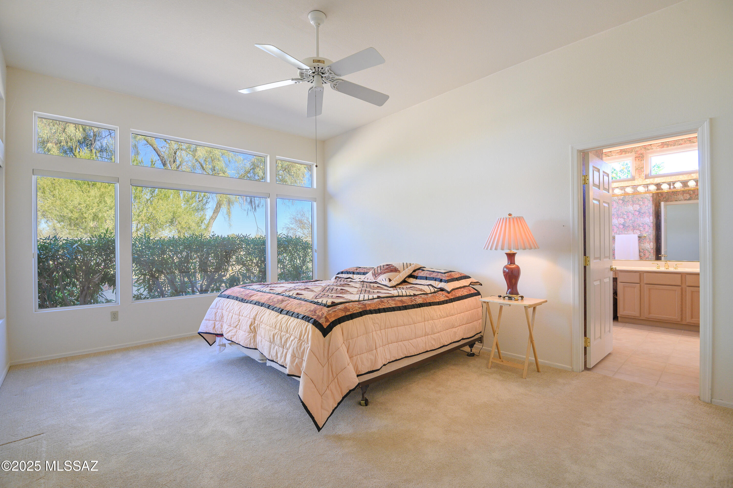 Sun City Vistoso Unit 14 (1-46) - Residential