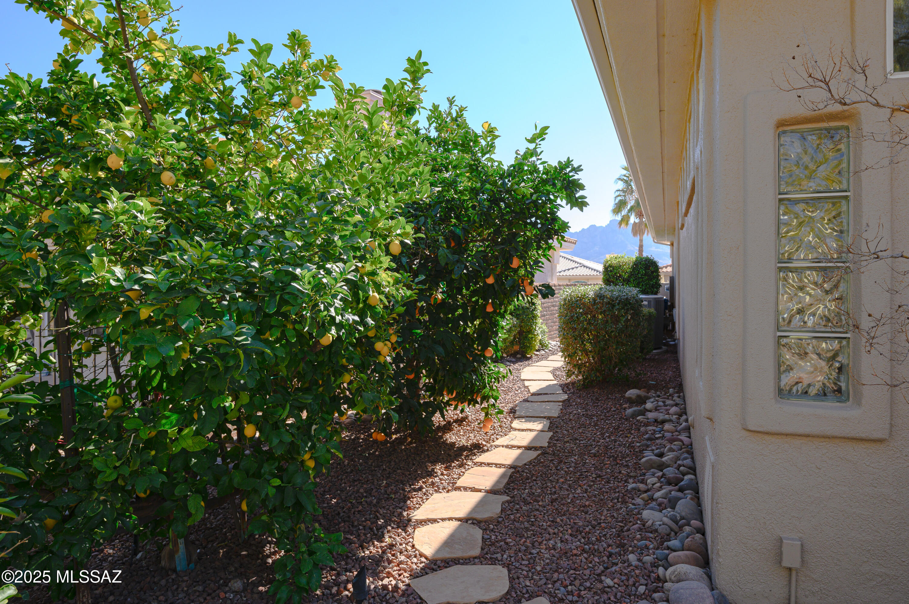 Sun City Vistoso Unit 14 (1-46) - Residential