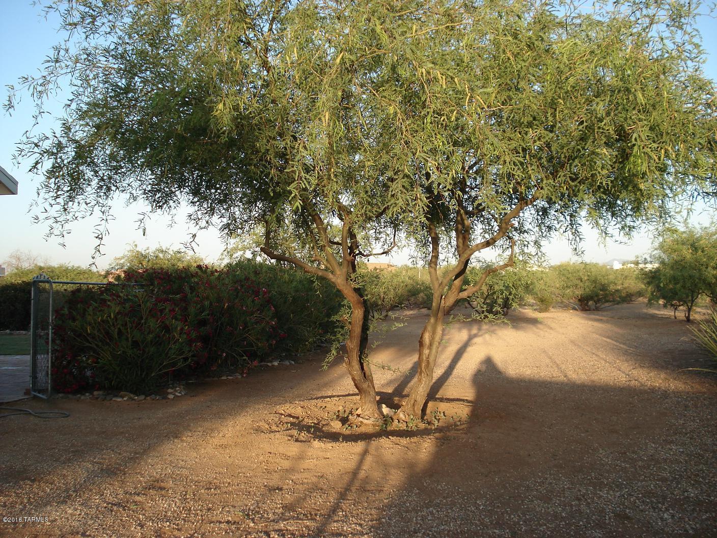 New Tucson Unit NO. 23 (140-261) - Residential