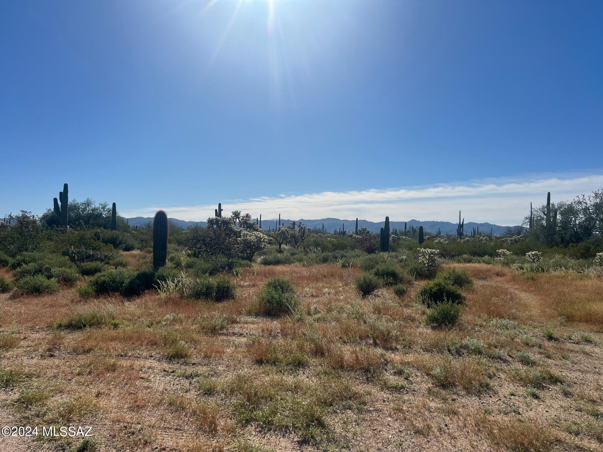 Come see this beautiful 10.8 acre parcel of land with 360-degree views. This property is full of saguaros, mesquite trees, desert cacti and includes spectacular sunrises and sunsets. A blank canvas ready to bring your vision to life! MORE PICTURES COMING SOON!