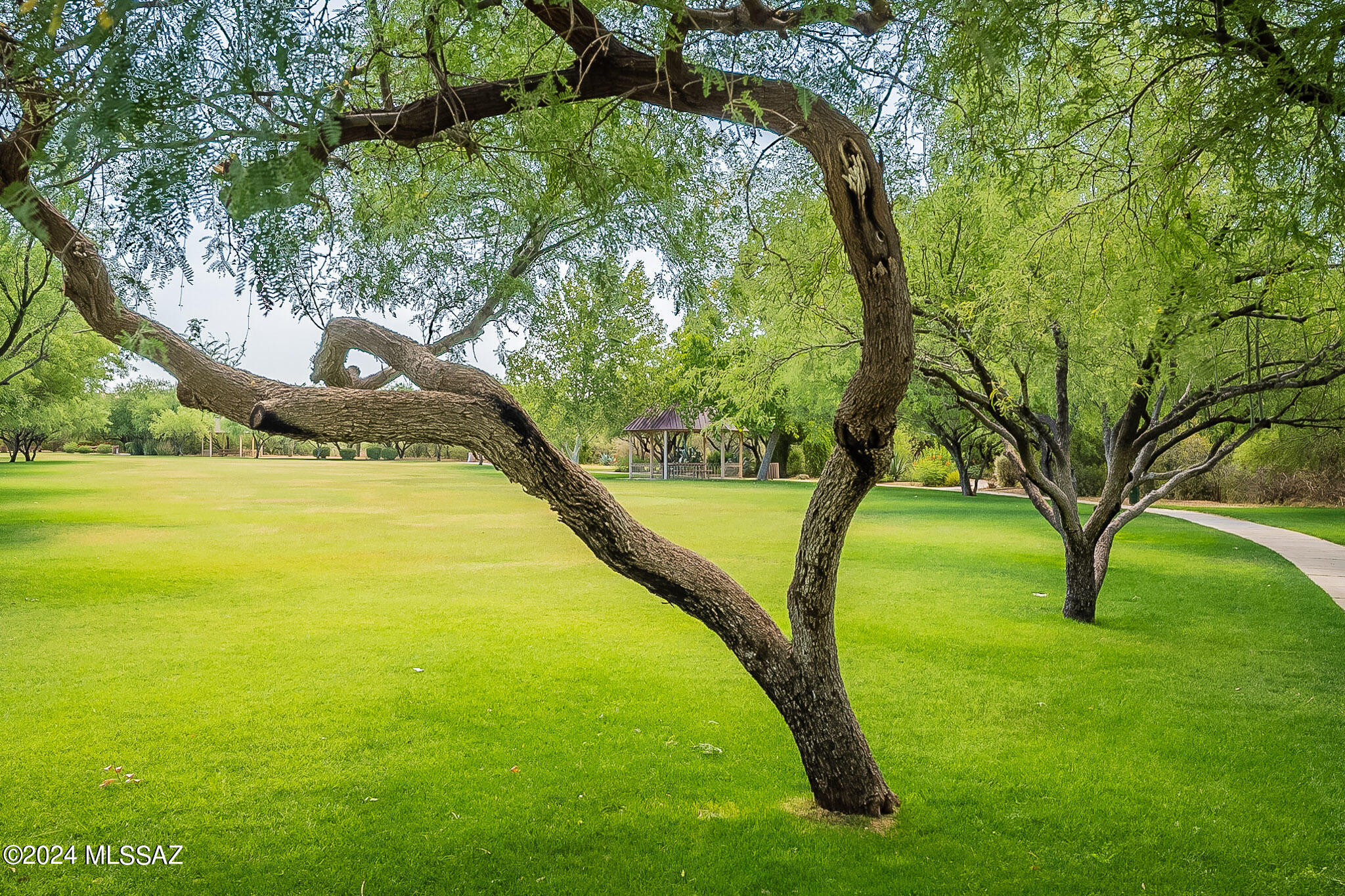 Sonora At Rancho Sahuarita (1-243) - Residential