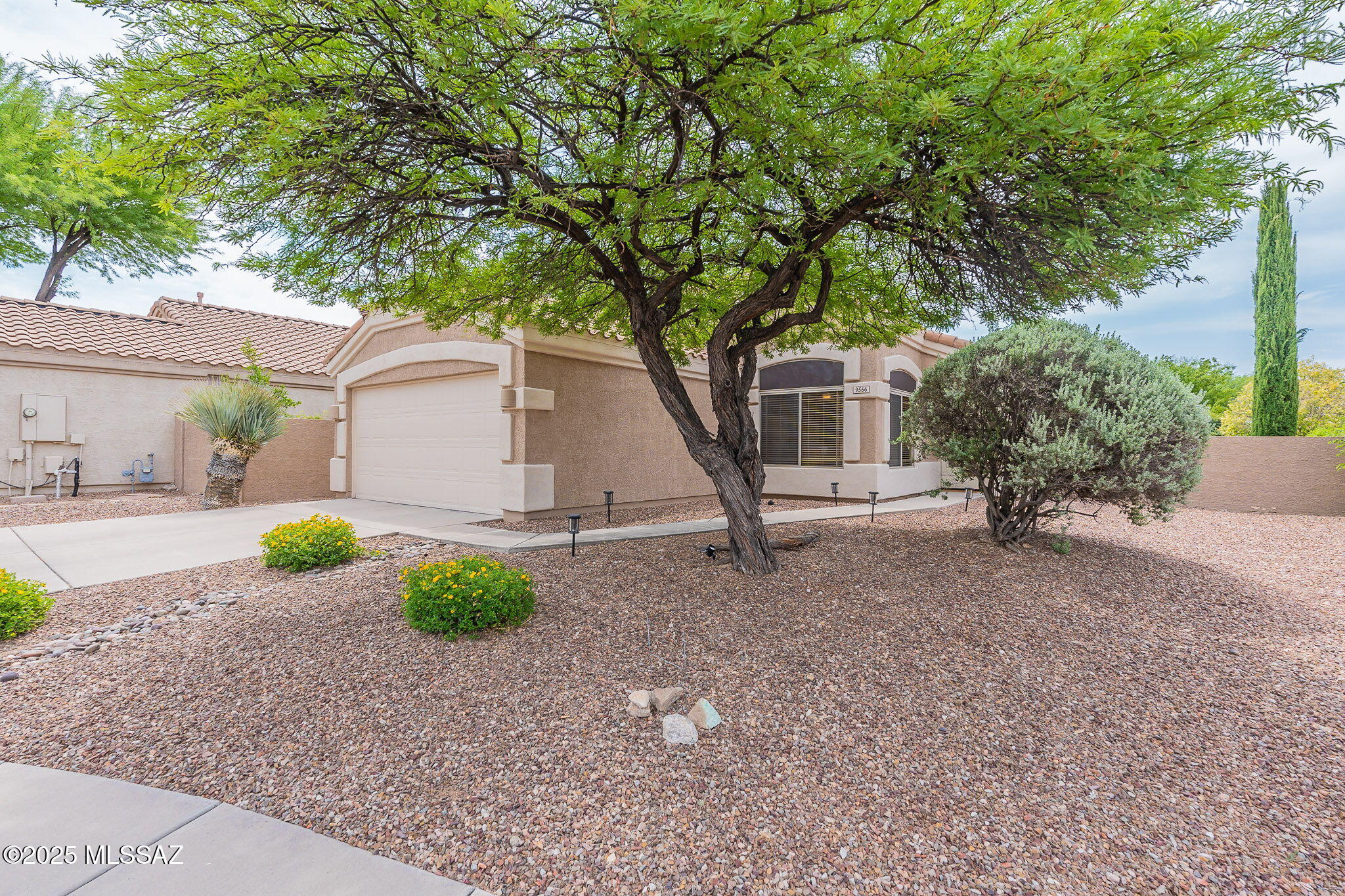 The Lakes at Castle Rock (1-67) - Residential