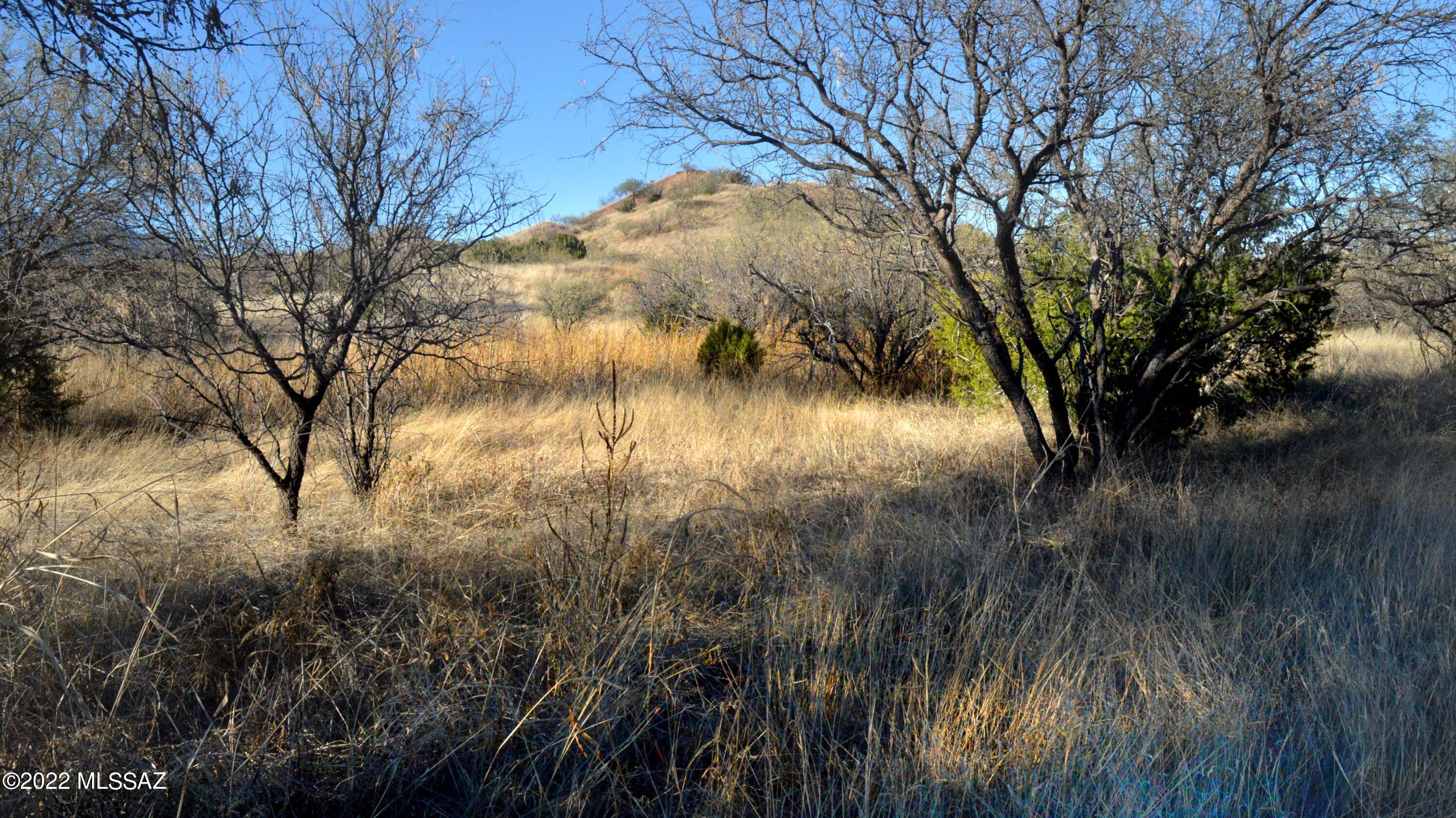 WILDLIFE CORRIDORS is an environmentally thoughtful development in the heart of Southern Arizona's Sky Islands. Recognized by the National Association of Counties for best practices in sustainable projects and programs, Wildlife Haven was designed to protect the land and wildlife while providing an exceptional community lifestyle for its residents. Each parcel has a predetermined building location/pad that is cushioned within a conservation easement, the land will continue to sustain the natural wildlife corridor and migratory bird pathway. If you are longing for tranquility, moderate temperatures, nearby recreational activities, and star-filled night skies, you will appreciate this special development. See: BorderlandsRestoration.org for more information.