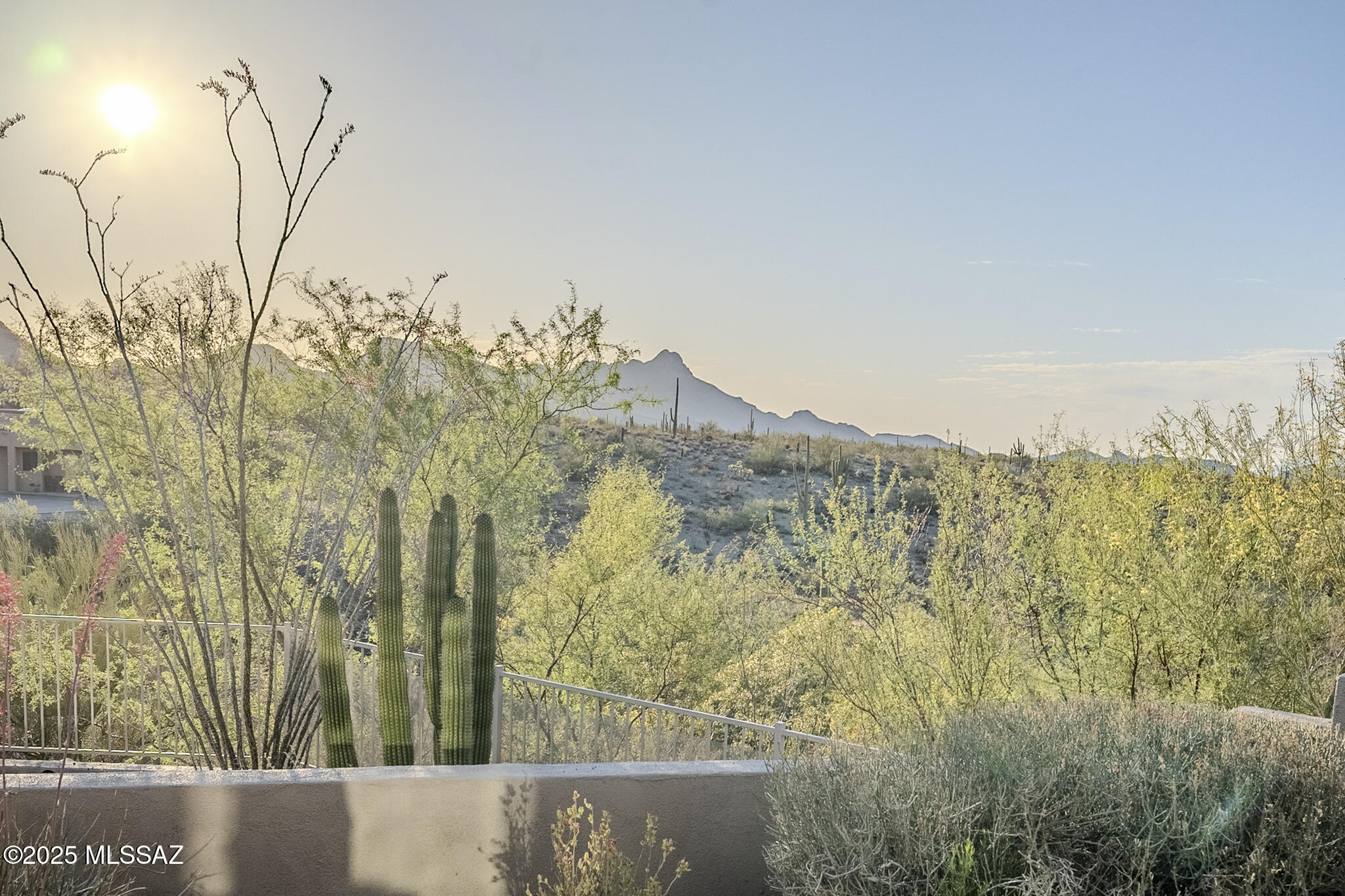 Tucson Mountain Reserve (1-124) - Residential