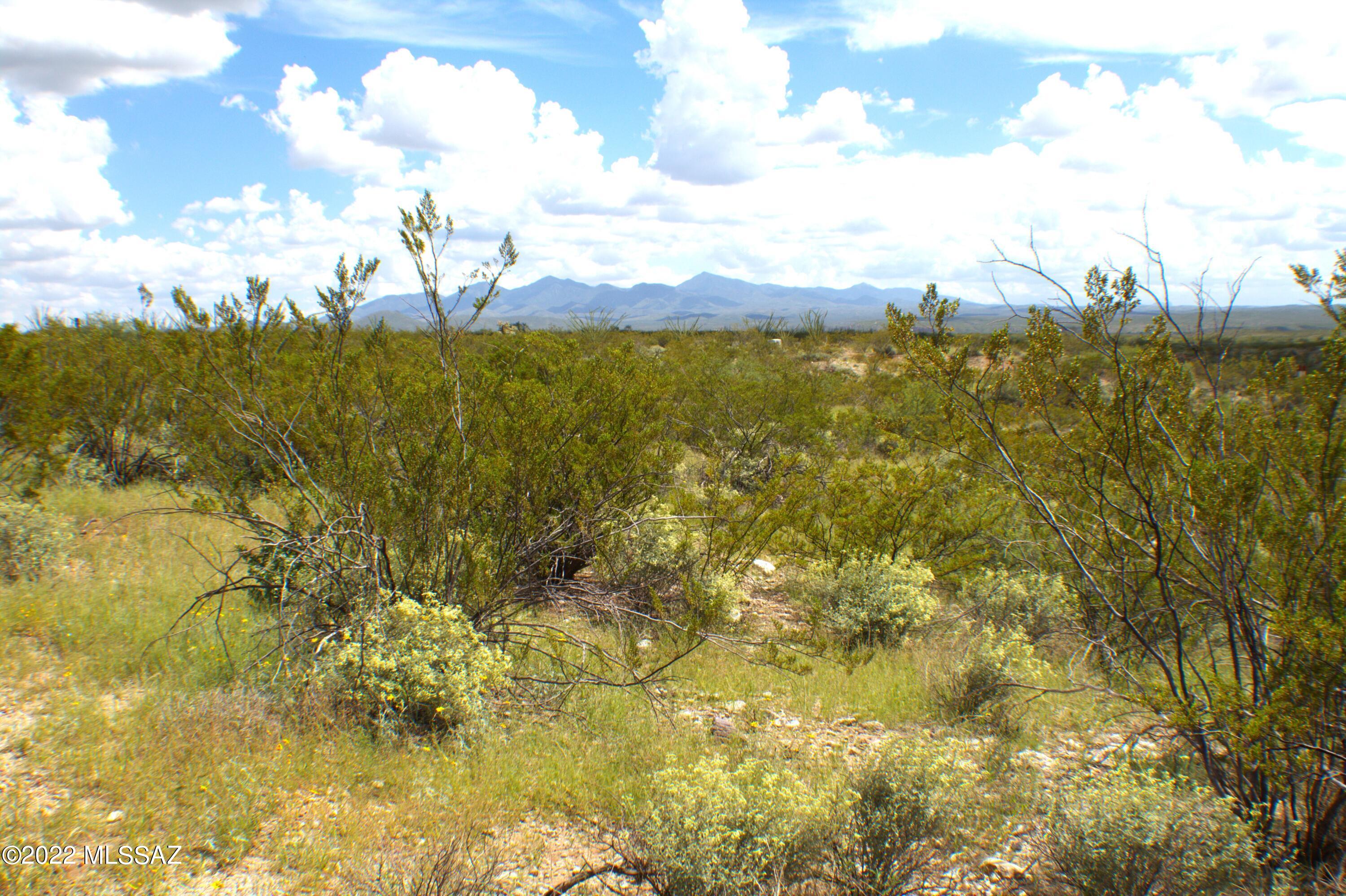** Build your DREAM home on 10 Acres with panoramic views in Vail ** This parcel is ready for YOUR custom home  and turn it into your own private paradise. The possibilities are ENDLESS! Nice, long and flat lot with arroyos at its borders, no HOA. Here you can see both the Sunrise and the Sunset as well as beautiful Mountain Views all around. Parcel has a Well Share with Water and Electric at lot line. No sewer, septic will be required.  Perc test has been performed and is available upon request. Come and see Beautiful Vail and Orion's Gate Ranch!