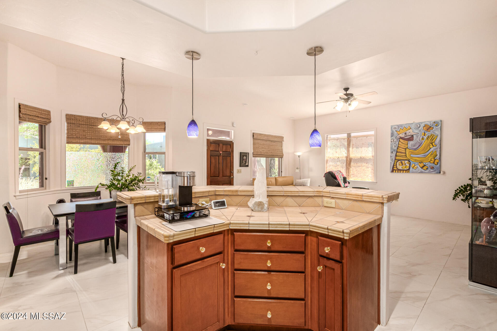 Armory Park Del Sol - Residential