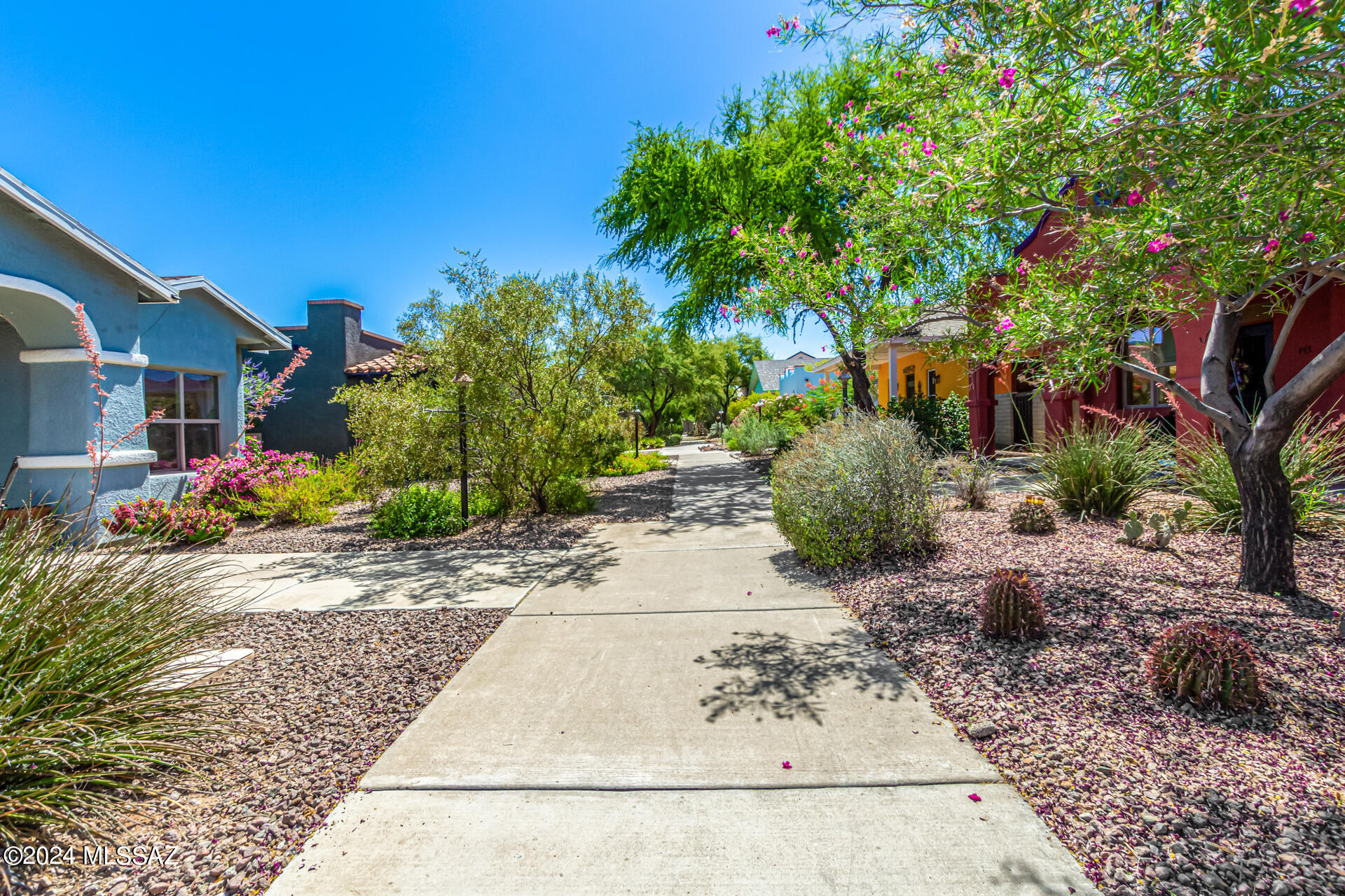 Armory Park Del Sol - Residential